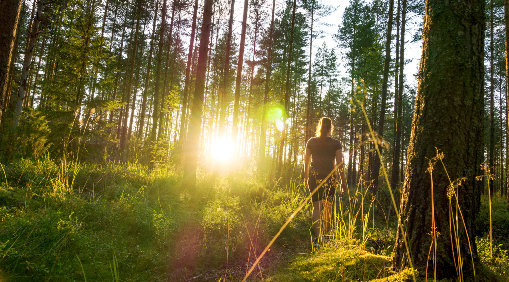 Kvinde vandre i natur